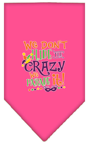We Don't Hide the Crazy Screen Print Mardi Gras Bandana Bright Pink Small